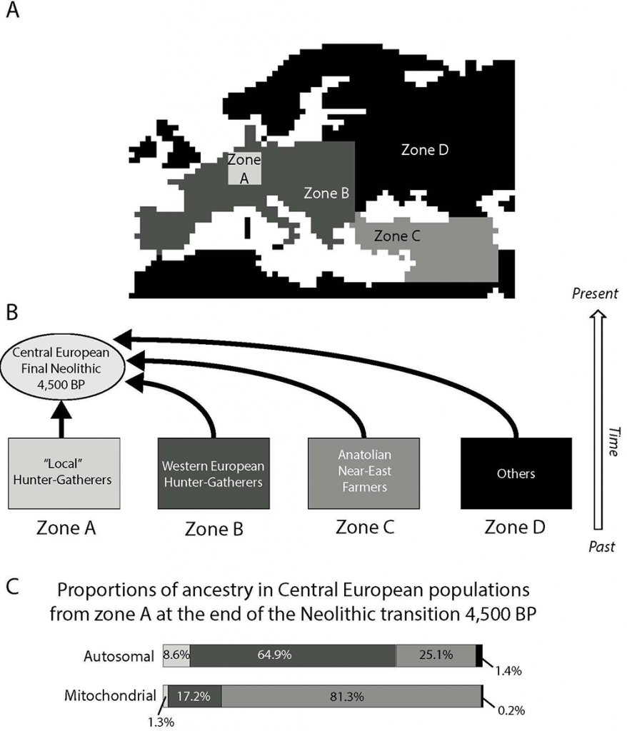 central-european-neolithic