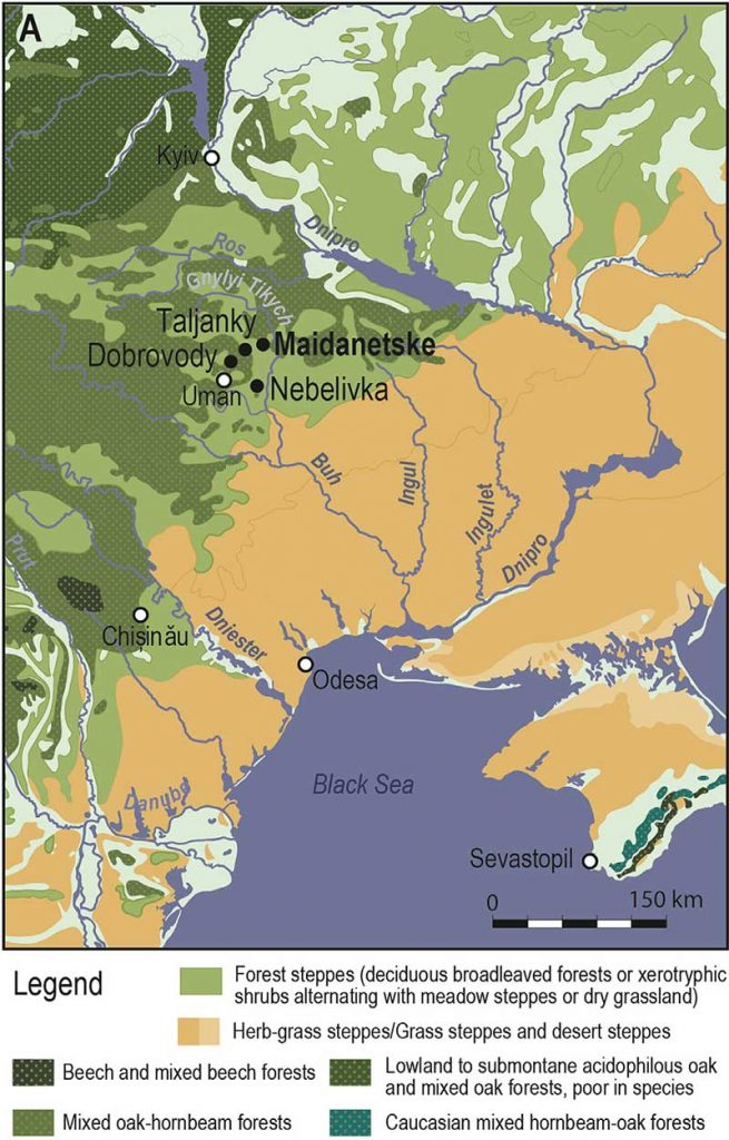 trypillia-maidanetske-north-pontic-steppe-forest