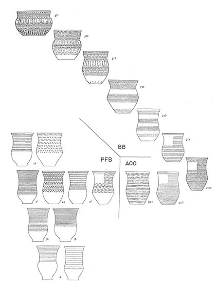 all-over-ornamented-beakers