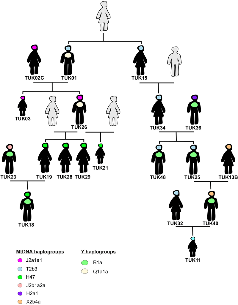 keyser2020-xiongnu-turkic-family-genealogy